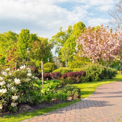 Gezonde tuin door gebruik van Wo20 bodemverbeteraar